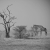 Giraffa - Etosha National Park, Namibia
